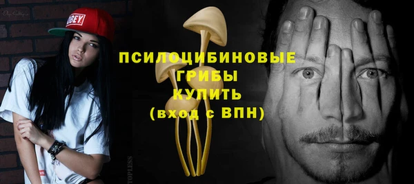 а пвп мука Инта