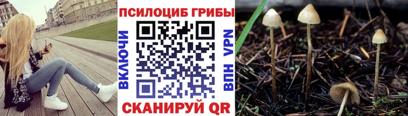 Псилоцибиновые грибы мицелий  Купить где  Искитим 